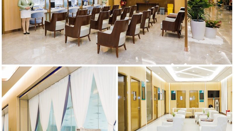 老年人养生指南：揭秘价格背后的真相